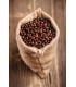 Robusta VIETNAM