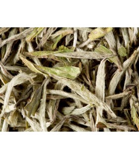 Yin Zen Thé Blanc